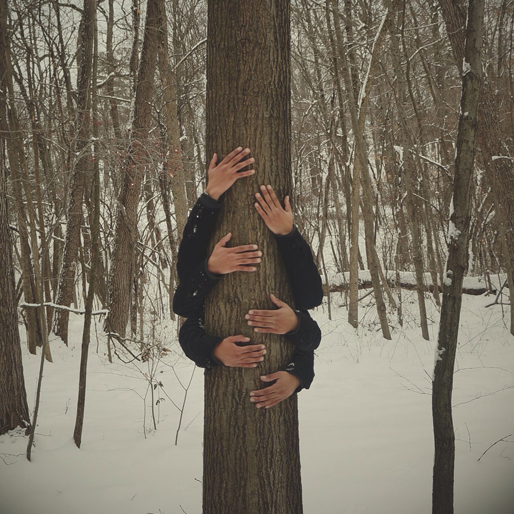 hands on tree concept in winter, tree hugger