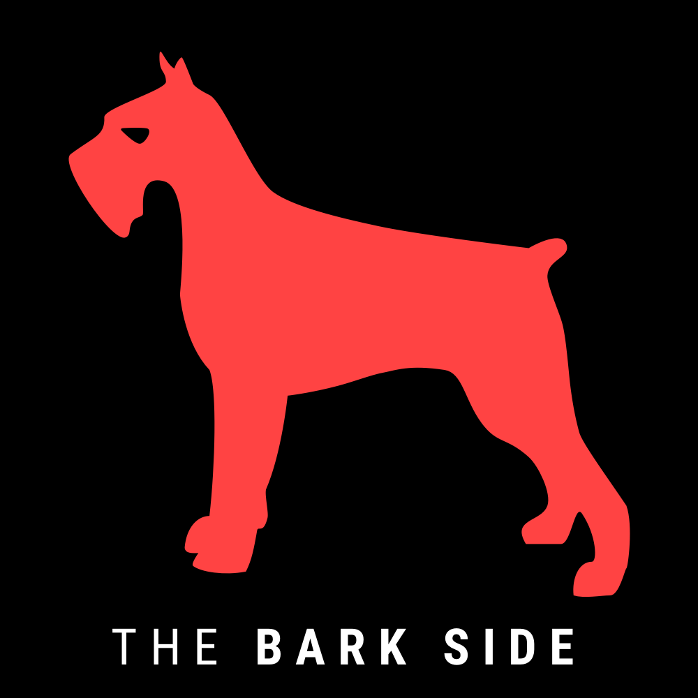 red starwars inspired dog logo