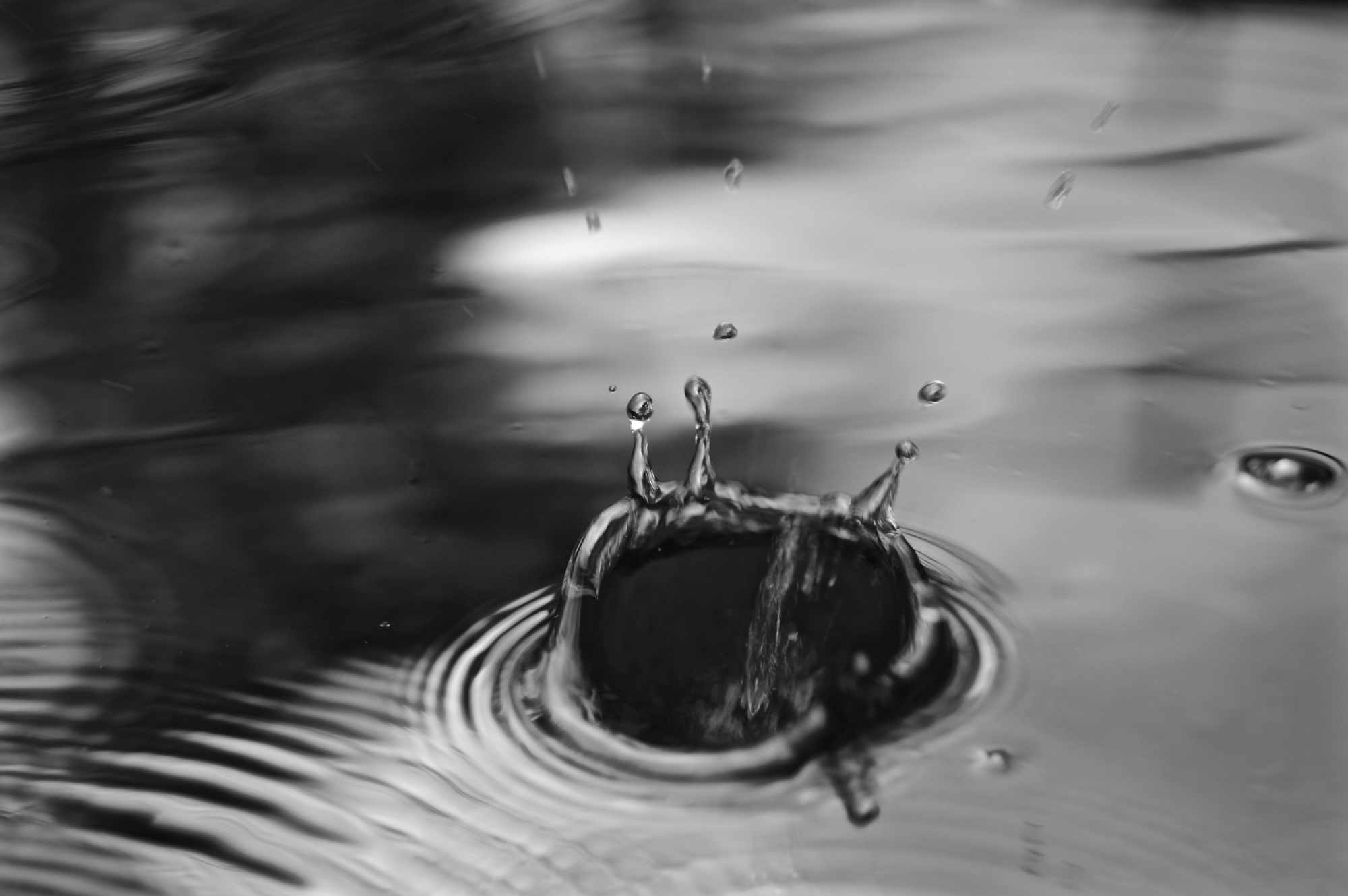 macro water splash in black and white
